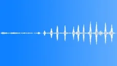 FOREST,DAYSound Effect