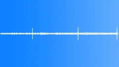 FOREST,DAY Sound Effect