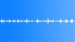 FOREST,DAYSound Effect