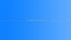 FOREST,DAYSound Effect