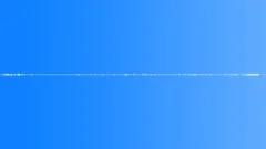 FOREST,DAYSound Effect