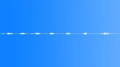 FOREST,DAY Sound Effect