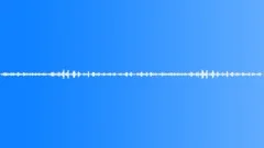 FOREST,DAYSound Effect