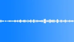 FOREST,DAYSound Effect
