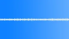 FOREST,DAY Sound Effect