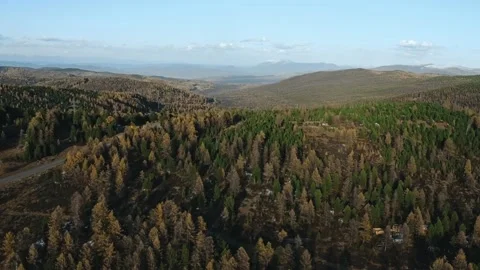 Forested Altay mountain slopes and empty road running through hills Stock Footage 153692341