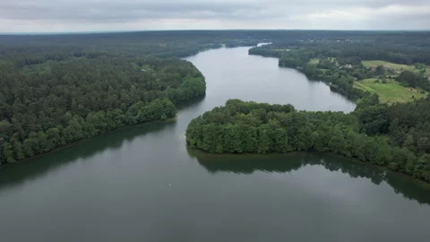 Forested Area With River Running Through it. Water is Calm and Clear. Trees.. Video stock 326953228