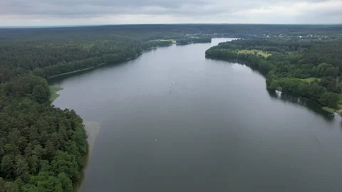 Forested Area With River Running Through it. Water is Calm and Clear. Trees.. 库存影片 335016540