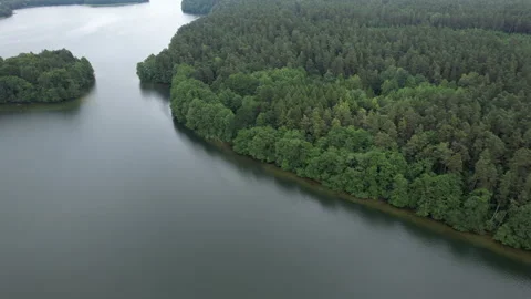 Forested Area With River Running Through it. Water is Calm and Clear. Trees.. 스톡 동영상 335018098
