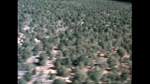 Forested Canyon Area Stock Footage 276291454