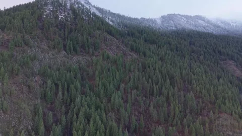 Forested Cascade Mountain Above Leavenworth Washington in Winter Stock-Footage 344767896