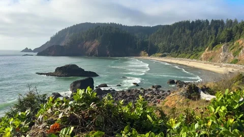 Forested Cliffs and Crescent Beach at Ecola State Park Oregon Stock Footage 341992908
