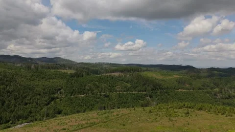 Forested Harz hills and valleys aerial panorama view Germany Stockbeeldmateriaal 341284067