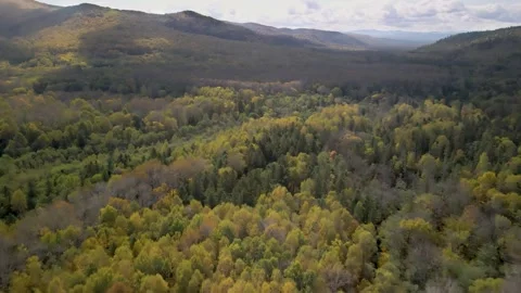Forested Hills Stock Footage 337226982