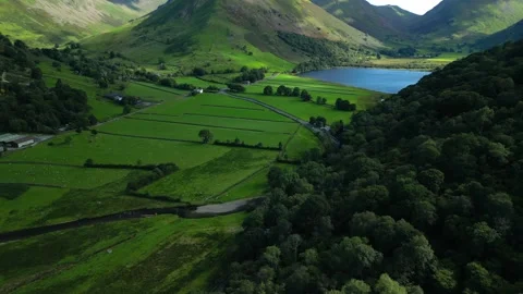 Forested hillside and patchwork green fields with flight towards lake Stock-Footage 249130825
