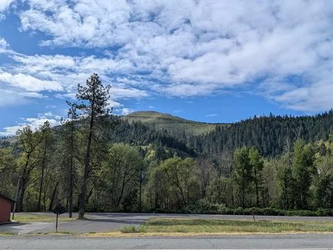 Forested hillside with cleared strip at summit beneath blue sky Stock Photos
