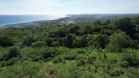 Forested hilltop with a distant coastal town, aerial view Stock Footage 278370478