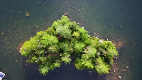 Forested Island Aerial Stock Footage 307115413