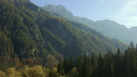 Forested Italian mountains Stock Footage 259054522