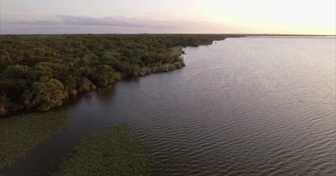 Forested lake edge and a distant causeway at dusk on Lake Jesup Vidéo 64710409