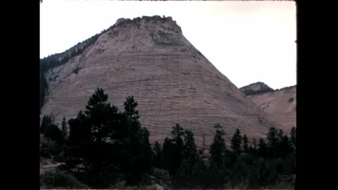 Forested Landscape Video stock 276291781