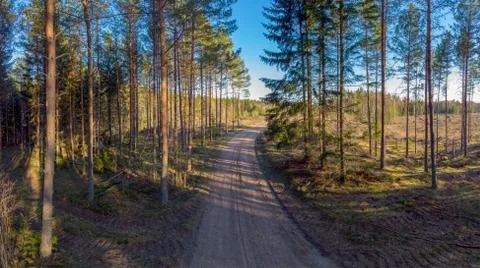 Forested Landscape Stock Photos