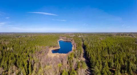 Forested Landscape Stock Photos