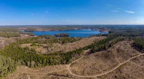 Forested Landscape Stock Photos