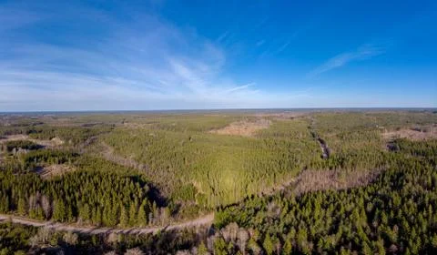 Forested Landscape Stock Photos