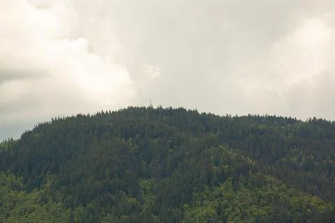 A forested mountain on a cloudy day. Stock Photos