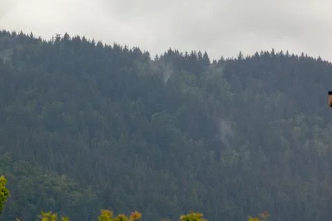 A forested mountain on a cloudy day. Stock Photos