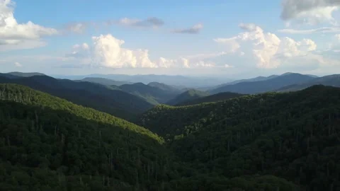Forested Mountain Range Video stock 134425736