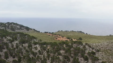 Forested Mountain Ridges Along the Ocean Coast 스톡 동영상 146940211
