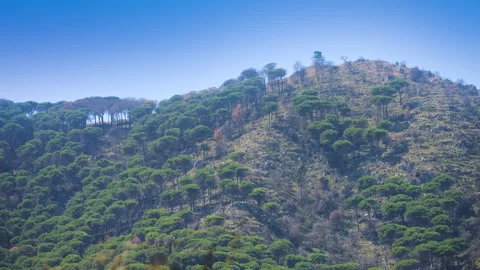 Forested mountain in Sicily Stock Footage 282486875