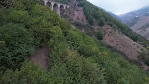 Forested mountain slope features dense trees and green vegetation on hillside Stock Footage 342704503