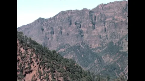 Forested Mountain Slope Stock Footage 278331919