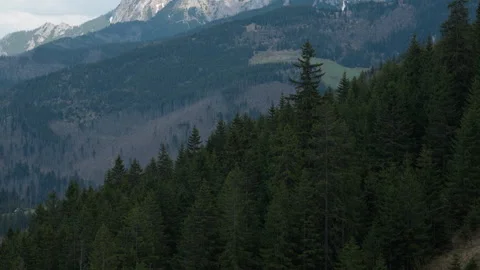 Forested mountain slopes and snowy peaks in Tatra National Park Poland Stock-Footage 335128437