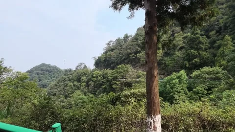 Forested Mountain Slopes with Road Below, Lushan Slow Motion Stock-Footage 346701054