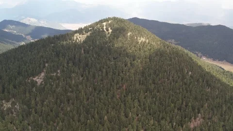 Forested mountain summit with dense fir trees above wide valley panorama 動画素材 344095933