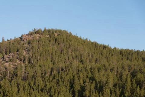 Forested Mountain Top Stock Photos