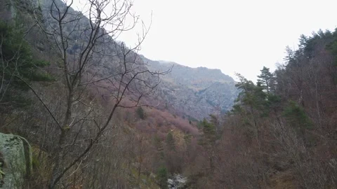Forested Mountain Valley in the Catalan Pyrenees Vídeos de archivo 332136801