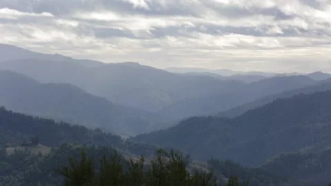 A Forested MOUNTAIN Valley During Overcast, (HD 24p) Stock Footage 154228905