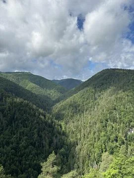 Forested mountain valleys under cloudy sky in Slovak Paradise National Park.. Stock Photos
