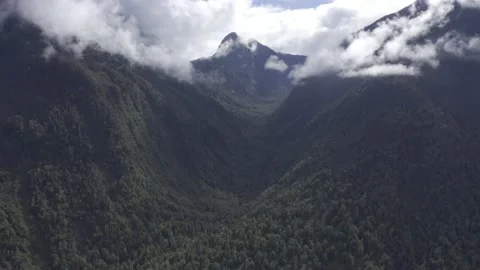 Forested Mountain wilderness aerial view 2 in Pumalin National Park, Chile Stock Footage 209175343