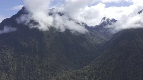 Forested Mountain wilderness aerial view in Pumalin National Park, Chile Stock Footage 209176284