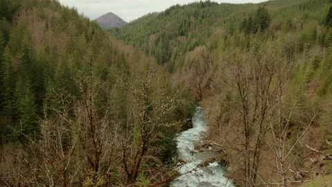 Forested Mountains &amp; Valley Stock Footage 238872812