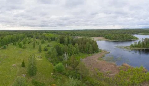 Forested panorama Stock Photos