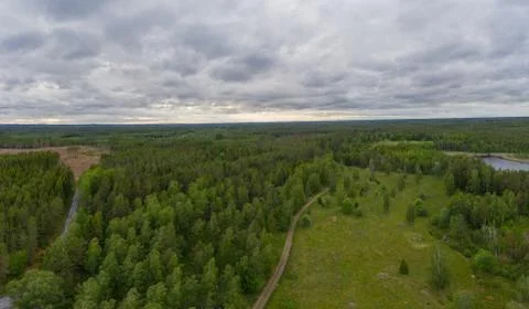 Forested panorama Stock Photos