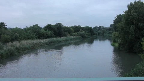 Forested river bank Stock Footage 98470377