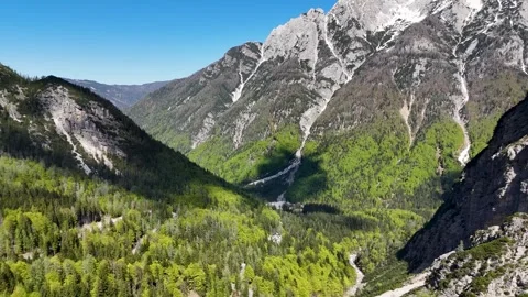 Forested Slope and Blue Sky in Triglav Park Stock-Footage 336650405
